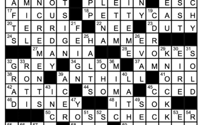 “Two for the Show” | Crossword Solution