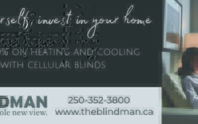 The Blindman | Cellular Blind Sale