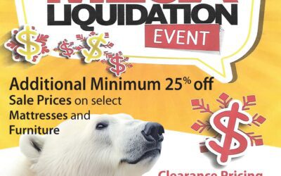 Bears – Mega Liquidation Event